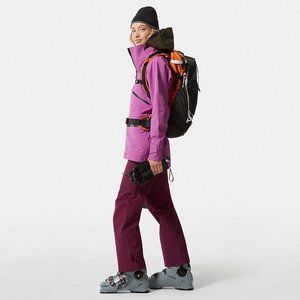 NWT The North Face Brigandine Futurelight Bib Purple XL